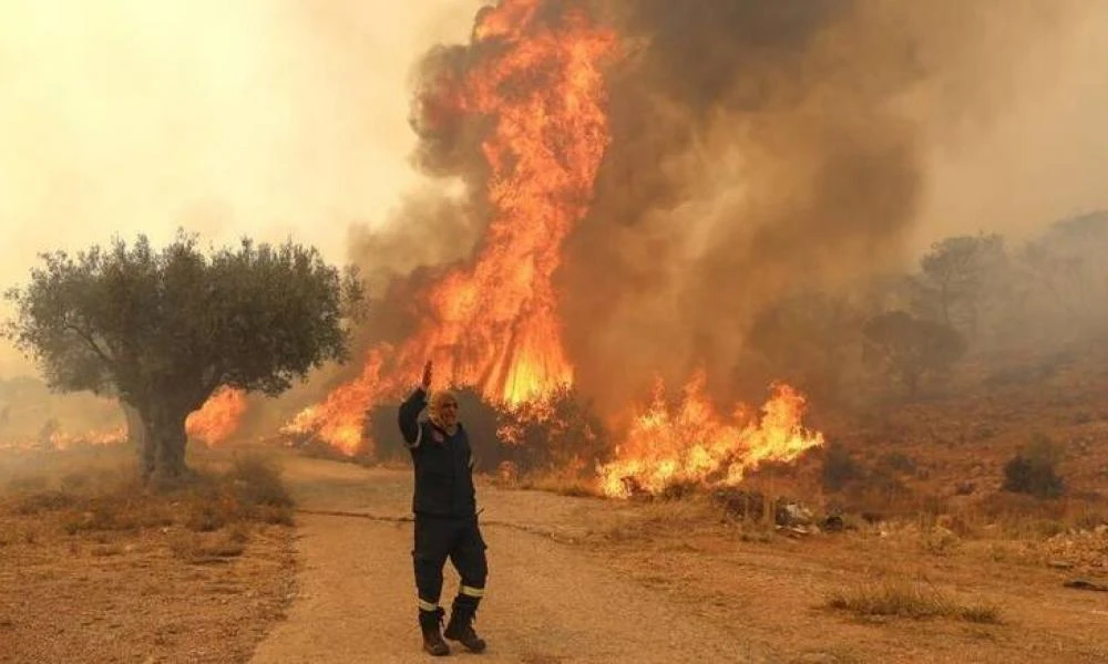 Φωτιές: Παραμένει μεγάλο το πύρινο μέτωπο στη Βοιωτία - Αγωνία για τους ισχυρούς ανέμους